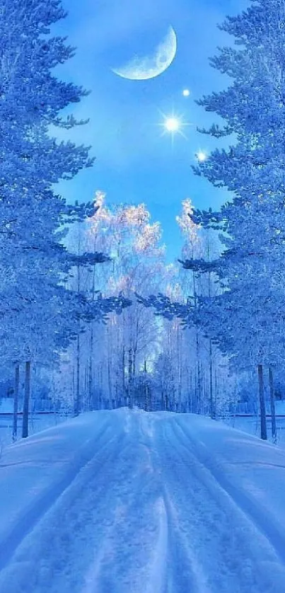 Snowy path under moonlit sky with frosty trees.
