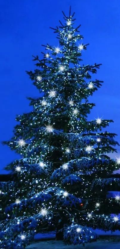 Snowy Christmas tree under a blue night sky