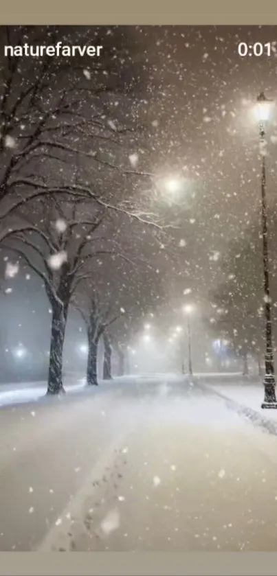 Snowy street at night with glowing lamps under falling snowflakes.