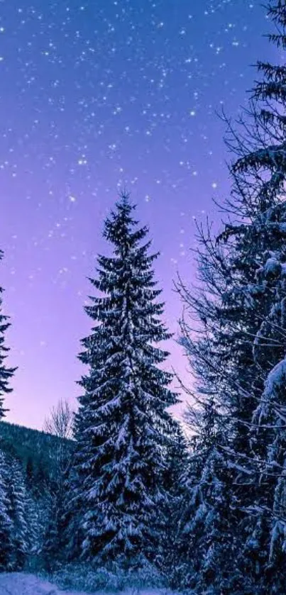 Snowy forest under a starry purple night sky.