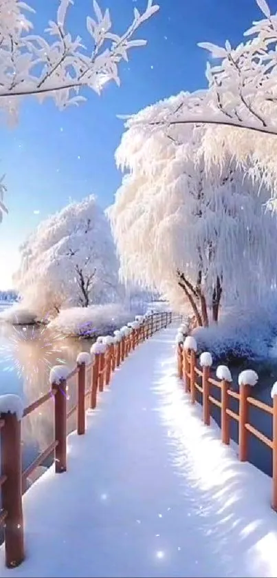 Frosty winter path with snow-covered trees and a calm blue sky.