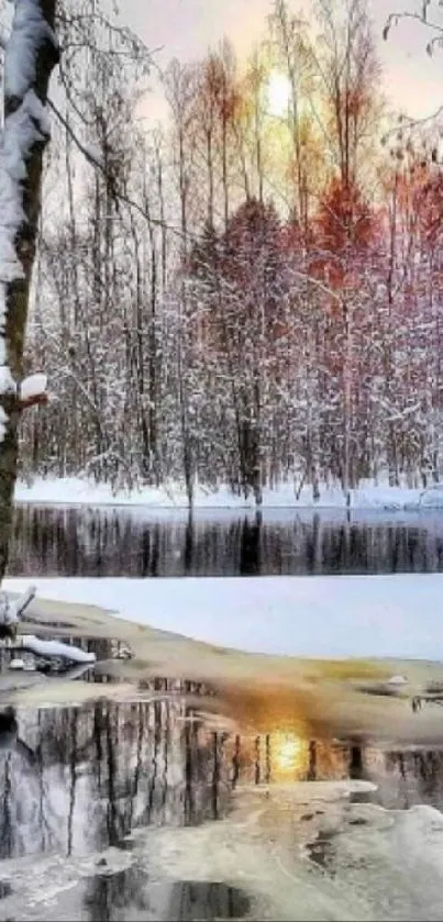 Winter river with snow-covered trees reflecting sunset.