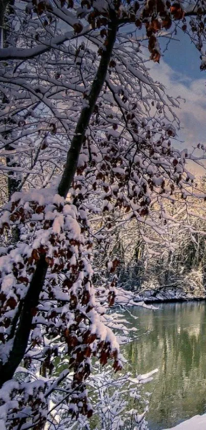 Snow-covered trees by a serene river.