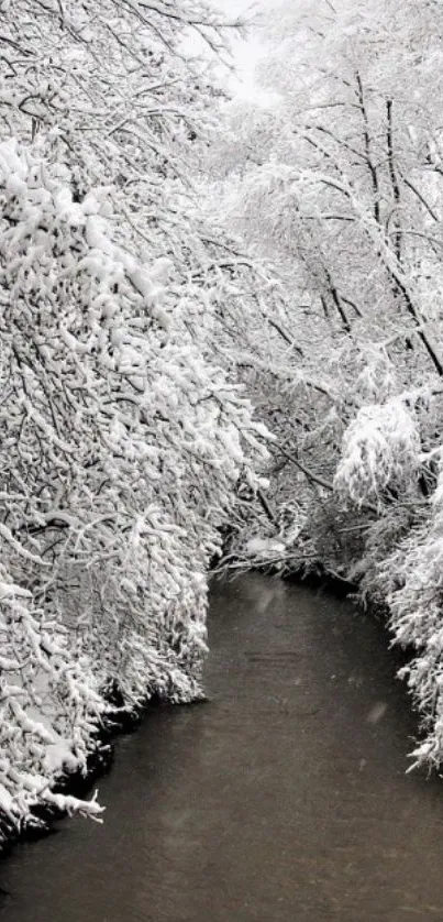 Serene winter river with snow-covered trees lining the banks.