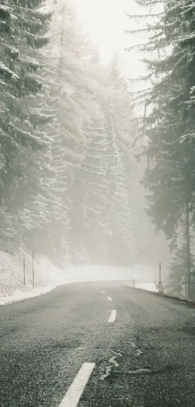 Winter road with snow-covered trees, serene and calming.