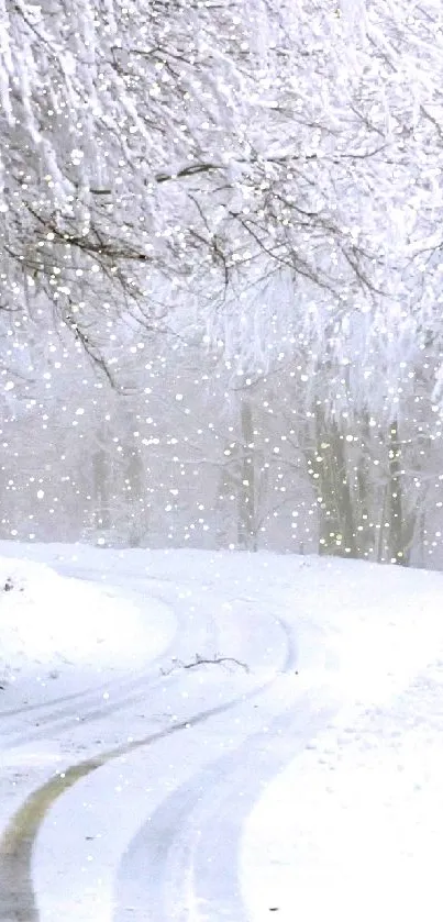 Snowy road through a winter forest, serene and peaceful.