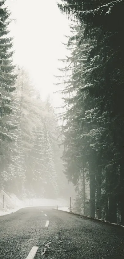 Serene winter road with snow-covered trees and misty atmosphere.