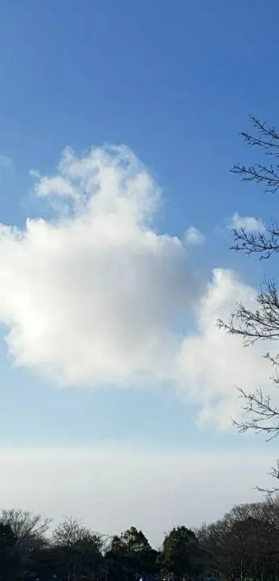 Serene winter sky with clouds and bare trees.