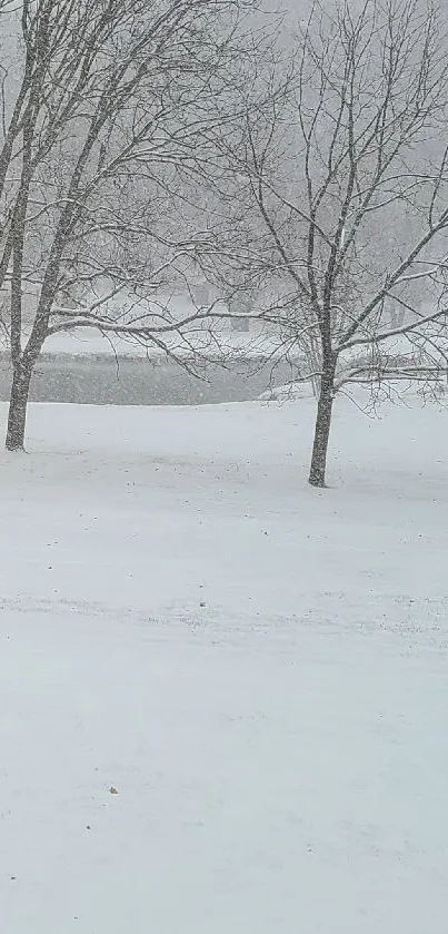 Winter snowfall scenic wallpaper with bare trees and snow-covered ground.