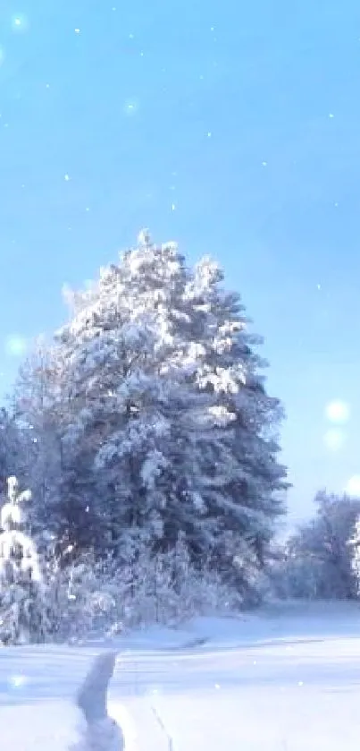 Serene snowy landscape with trees, blue sky, and snowfall.