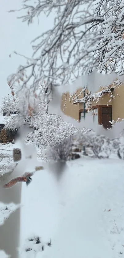 Serene winter landscape with snow-covered branches and house.