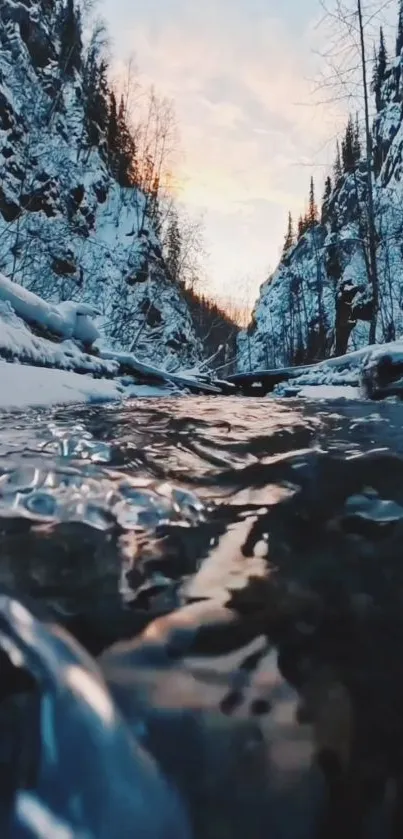 Calm winter stream flowing through snow-covered canyon under soft pastel sky.