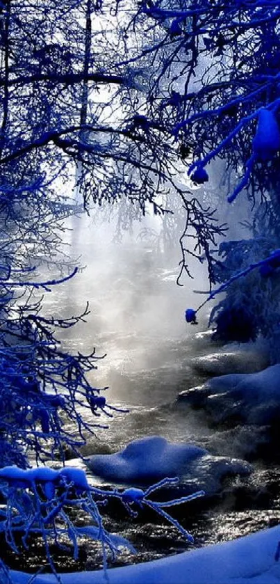 Serene winter stream flows under a snowy forest canopy with blue tones.