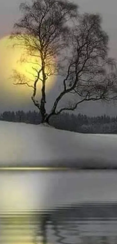 Serene winter landscape with tree and sunset reflection on water.