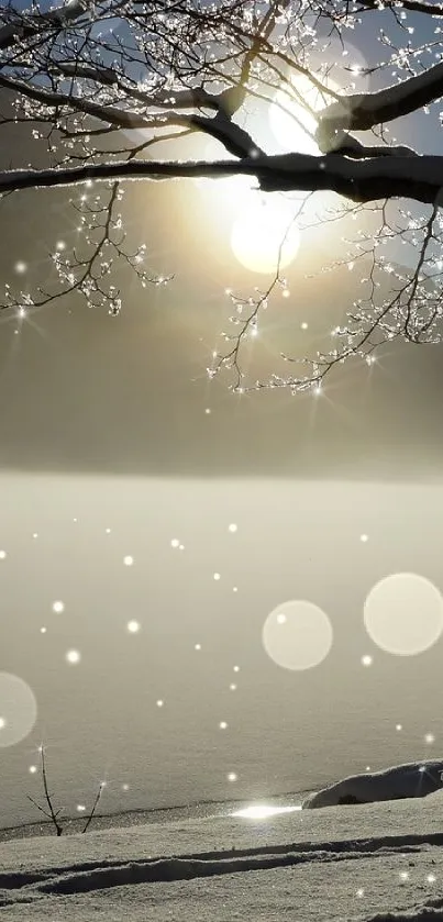 Serene winter sunrise over snowy landscape with mist and trees.