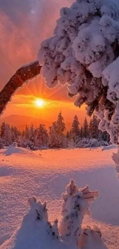 Snowy landscape with sunrise casting orange hues over trees.