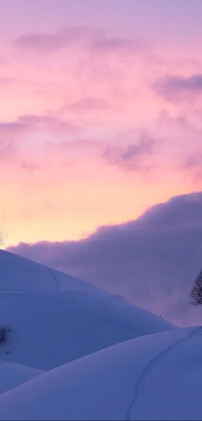 Serene sunset over snowy hills with tree.