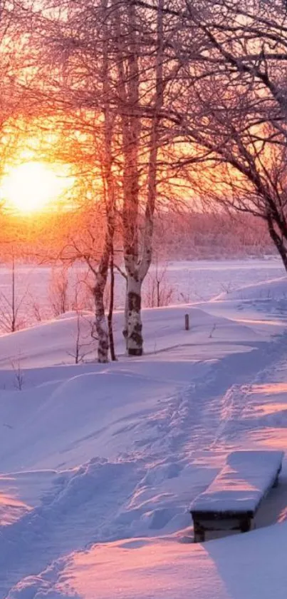 Serene winter sunset with snow-covered trees and vibrant colors.