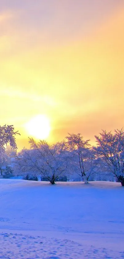 Winter sunset over snowy landscape with trees.