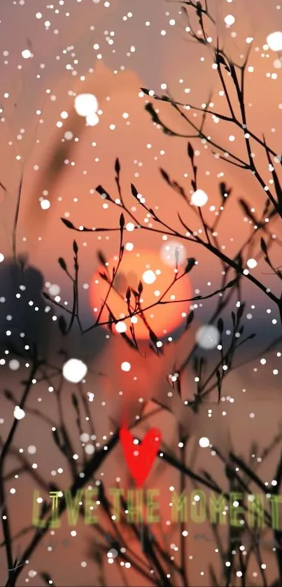 Serene winter sunset with snowflakes and branches