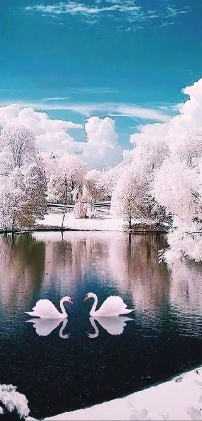 Winter scene with swans on a reflective lake.