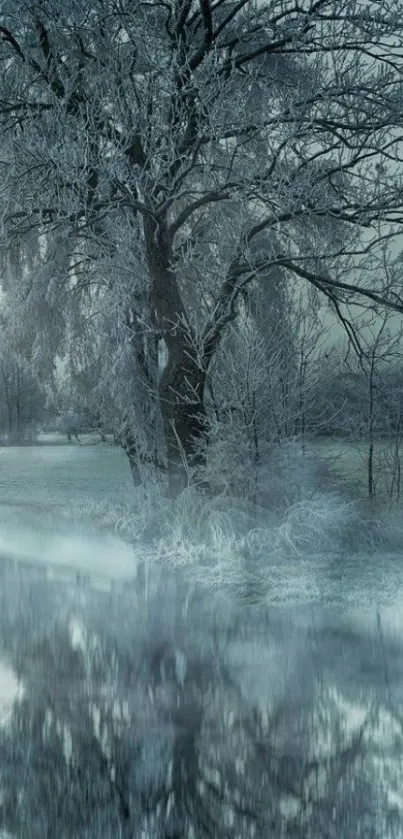 A serene winter tree reflecting on a still, icy pond.