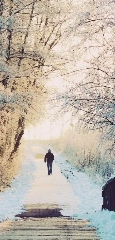 Serene snowy path through frosted trees with a solitary walker.