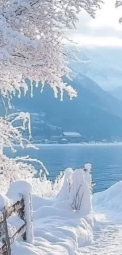 Snow-covered winter landscape with mountains and trees.