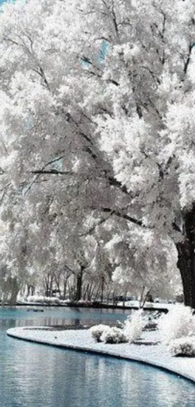 Snow-covered trees by a tranquil lake during winter.