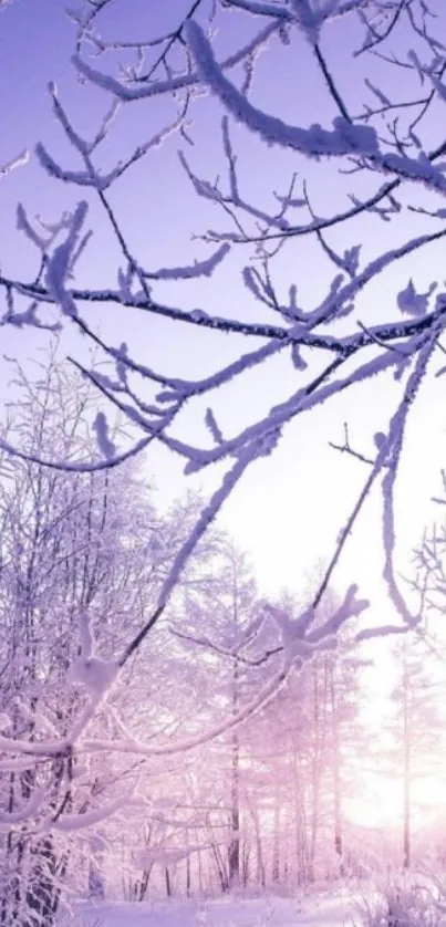 Lavender-hued frosty winter landscape with snow-covered branches.