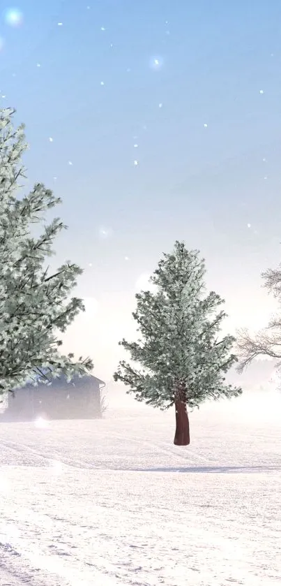 Snowy winter scene with trees in a frosty landscape.