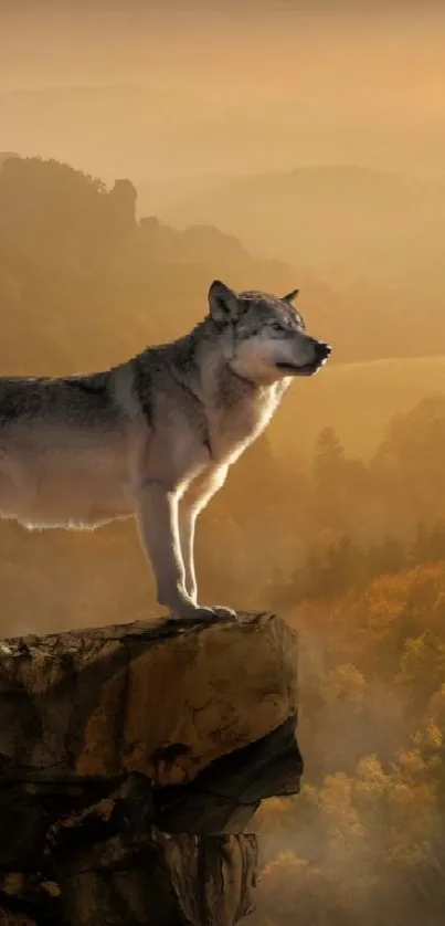 Wolf standing on cliff with mountain backdrop.