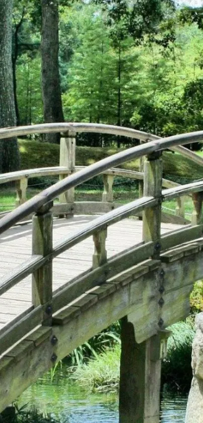 Serene wooden bridge with greenery, tranquil phone wallpaper.