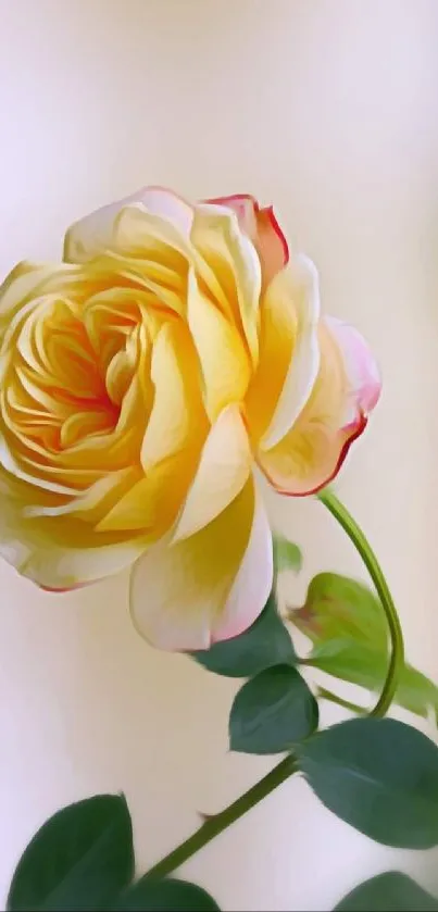 Yellow rose with green leaves against a soft background.