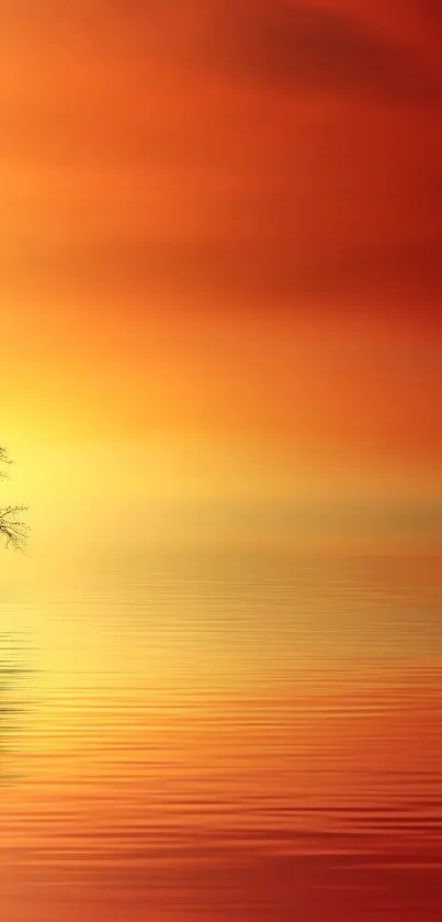 A tranquil sunset with orange hues and a tree by the water.