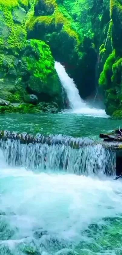 A serene waterfall surrounded by lush greenery.