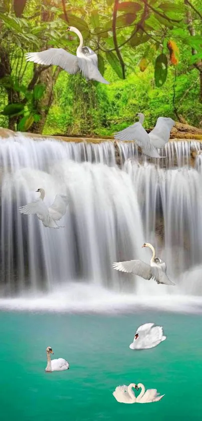 Serene waterfall scene with swans in a lush, green forest setting.