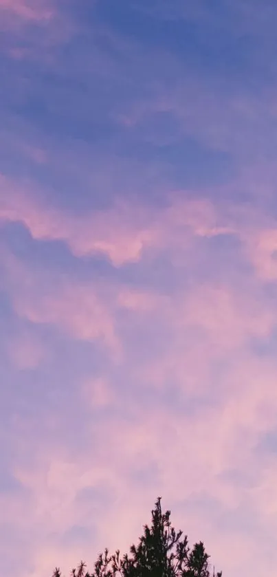 Pastel pink and purple sky with silhouetted tree at bottom.