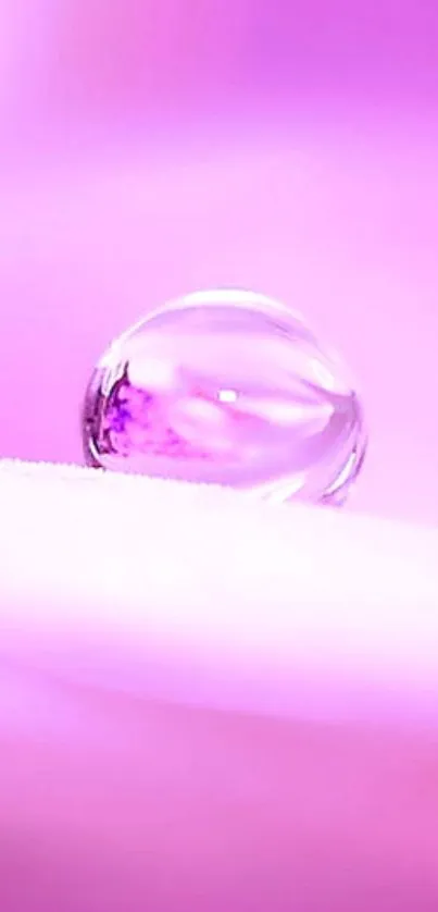 Pink mobile wallpaper with water droplet on soft background.