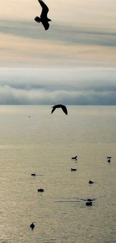 Serene wallpaper of sea with birds, gentle sky, and distant clouds.