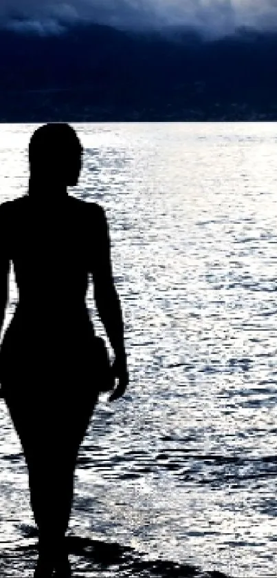 Silhouette of a person against a serene ocean backdrop.