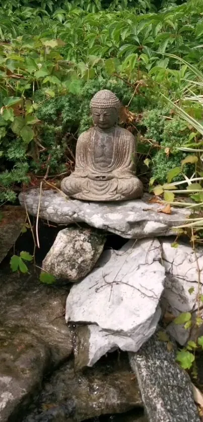 Buddha statue among greenery and stones in a garden setting.