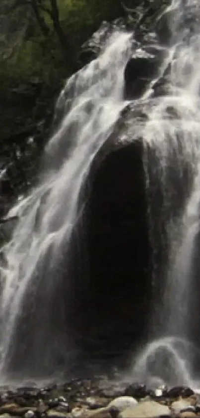 Serene waterfall cascading over rocks in a lush forest.