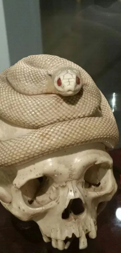 Snake coiled on a skull creates a unique mobile wallpaper design.