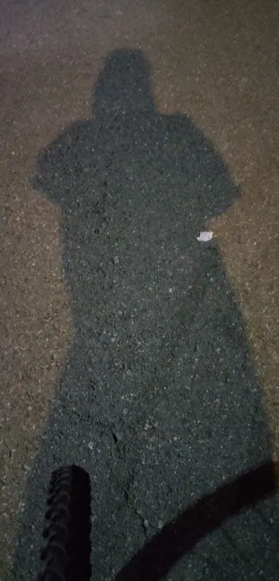 Shadow cast on asphalt road at night, creating a mysterious ambiance.