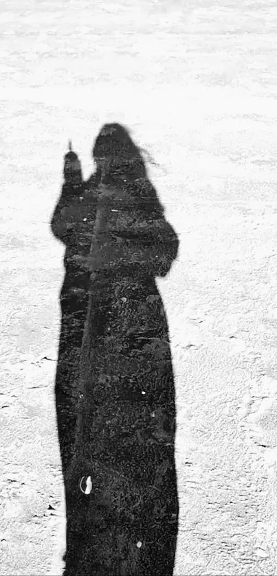 Black and white shadow silhouette on white sand.