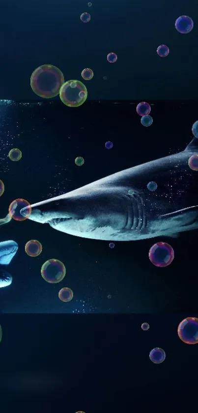 Diver encounters a shark in a bubble-filled underwater scene.