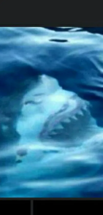 Shark lurking beneath ocean waves in blue waters.