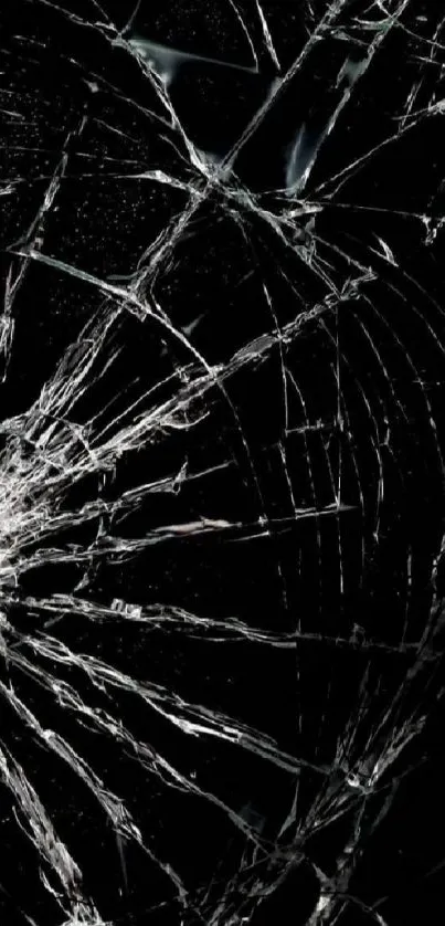 Shattered glass on black background, creating a striking visual impact.