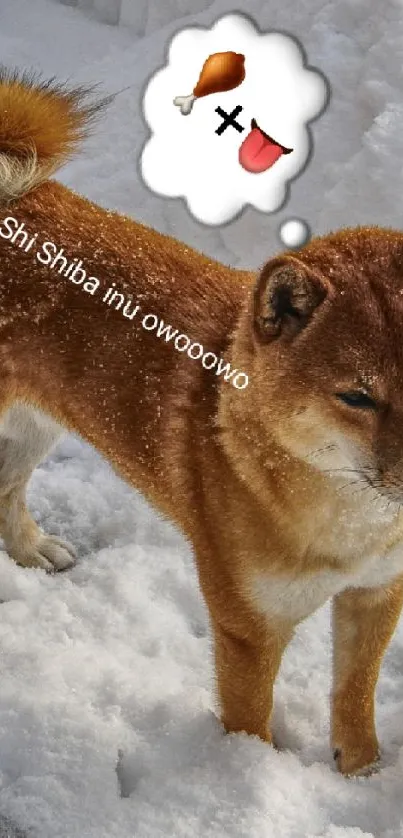 Cute Shiba Inu standing in snowy landscape with thought bubble.